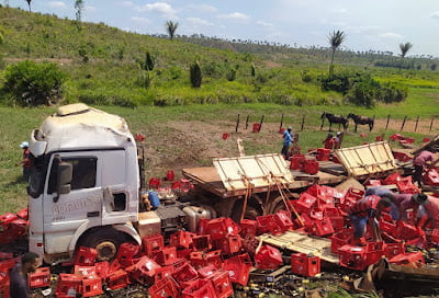 Populares saqueiam carga de cervejas após acidente com caminhão e são multados pela PRF em Peritoró